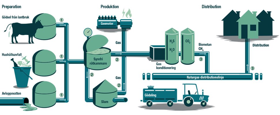 Biogasprocess
