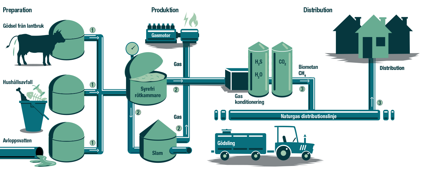 Biogasprocess