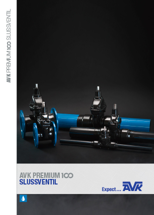 Ladda ner Premium 100 broschyr