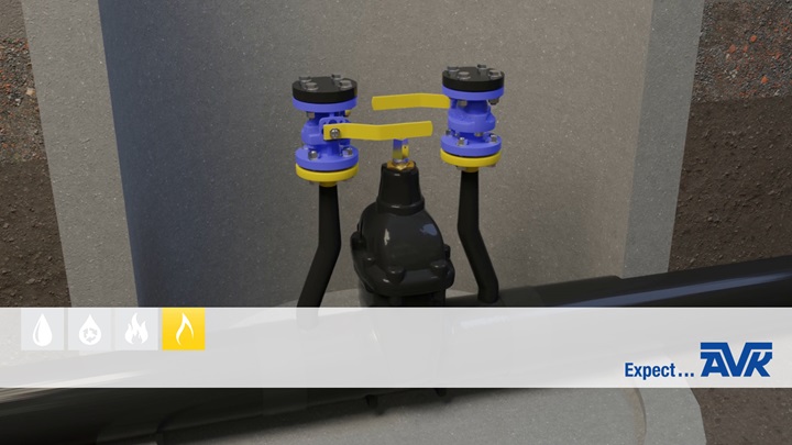 Gate valve purge point